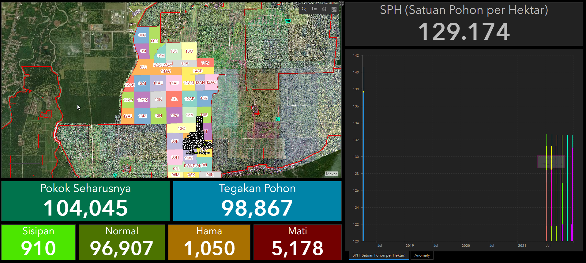 Local Perspective Map View